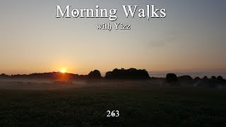 Morning Walks with Yizz 263 [upl. by Dorolice]