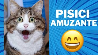 ✅Pisici nebune 🙀Filme Amuzante cu Pisici🐈Încearca sa nu rîzi😹😸 3🤣💕Cele mai amuzante pisici🙀🙀 [upl. by Araes]