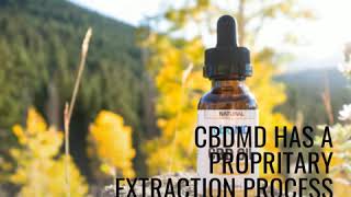 cbdMD Review [upl. by Dlanger792]