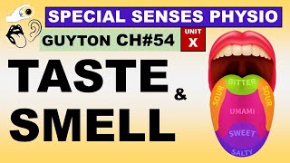 Ch54 Physiology Guyton  Special Senses  Sense of Taste and Smell  Physiology Lectures [upl. by Irrej757]