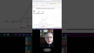 La distribuzione normale standardizzata con excel [upl. by Bernt]