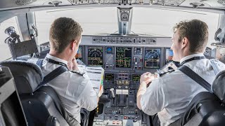 On the Path to Becoming an American Airlines Pilot [upl. by Reahard]