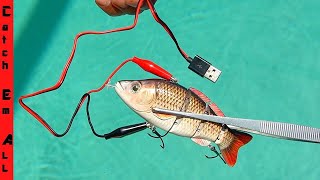 ROBOTIC FISHING LURE Does the Animated Lure really catch fish [upl. by Eseenaj]