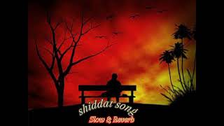 Shiddat Song Slow amp Reverb Shiddat Movie Song [upl. by Pickering]