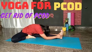 Yoga For PCOD  DO THIS Regularly Hormonal Imbalance amp Irregular PeriodsHamsayoga GangothriYogini [upl. by Oiragelo]