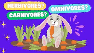 Types of Animals Herbivores Carnivores Omnivores  Fun Quiz on Animal Eating Habits for Kids [upl. by Kyte]