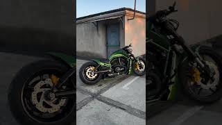 😈 HarleyDavidson VRod ‘Mamba green’ by Leo Custom Garage [upl. by Aihsenat]