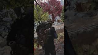 Wasteland Treasure 8 Forest Treasure Map 8 treasure gaming fallout76 shorts [upl. by Daegal881]