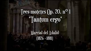 Tres motetes Op 20 nÂº 1  Marcial del Adalid 1826  1881 [upl. by Manson]