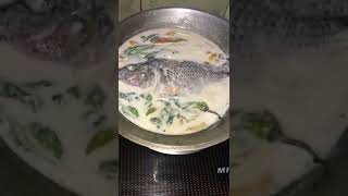 Ginataang tilapia [upl. by Cob]