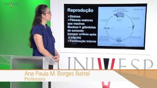 Zoologia de Invertebrados  Aula 10  Filos Acanthocephala e Entoprocta [upl. by Tella]