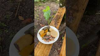 Outdoor Cooking Jamaica  Salt Mackerel Rundown ASMR COOKING jamaica outdoorcooking shorts [upl. by Aikimat793]