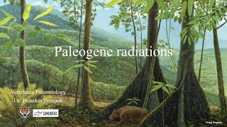 Lecture 25 Paleogene radiations April 9 [upl. by Bouley]