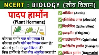 🔥 Biology जीवविज्ञान Class 10thhormoneplant hormones class 10plant hormon class 10 in hindi [upl. by Berget]