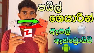 File Share on Android amp iPhone Using Zapya App Sinhala  සිංහලෙන්  🇱🇰 Thusi Bro [upl. by Nealson]