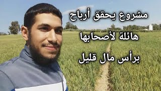 مشروع يحقق أرباح هائلة لأصحابها💰برأس مال صغير [upl. by Annohs]