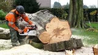 Stihl MS880 met 12 meter blad [upl. by Allana]