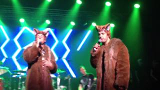 Ylvis  The Fox live in Tysvær [upl. by Nytsud]