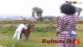 Taju Ahmed  Bokkaan roobee Oromo Music [upl. by Allehc234]