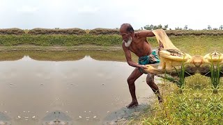 Amazing Fishing in River  Best Net Fishing Video  Traditional Fishing Videos  New Fishing Video [upl. by Sileray]