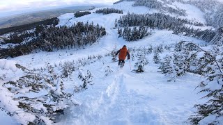 Mount Washington BC Skiing  Backside [upl. by Nylhsoj]