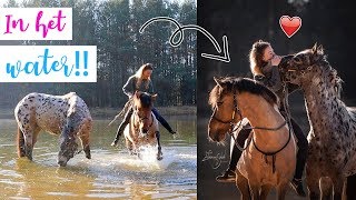 Samen met de paarden in het WATER  felinehoi [upl. by Izawa]