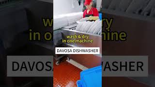 Is a Commercial Dishwasher Worth It washing and dry in one machine [upl. by Stefanac]