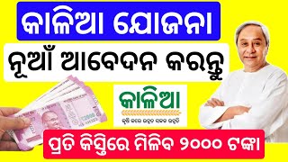 Kalia Yojana Online Apply odisha 2023kalia Yojana Online grievance apply [upl. by Lavena]