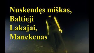 Nuskendęs miškas manekenas Baltieji Lakajai [upl. by Anselme]