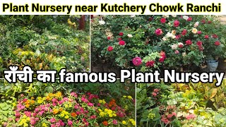 Plant Nursery near Kutchery Chowk Ranchi l Ranchi Plant Nursery l plantsnursery ranchi jharkhand [upl. by Kalila]