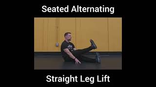 Seated Alternating Straight Leg Lift [upl. by Giuseppe]