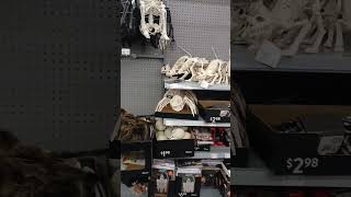 Horror Halloween decoration MrBeast youtubeshorts shortvideos trending horrorstorie halloween [upl. by Bueschel799]