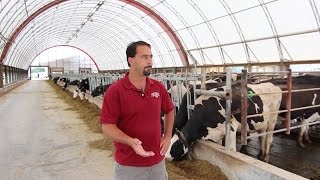 What do farmers say about milking with dairymaster [upl. by Cas696]