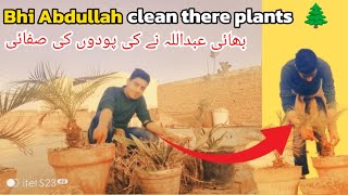 Bhi Abdullah clean their plants🌲3sisters plantsvlog [upl. by Obellia]