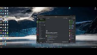 discord member bot 2024 free [upl. by Idnew]