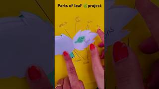 Parts of 🍃 project schoolproject project competition viralvideo [upl. by Mastat]