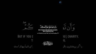 Al Baqarah Ayah 279 to 281 Yasser AlDosari quran [upl. by Janicki]