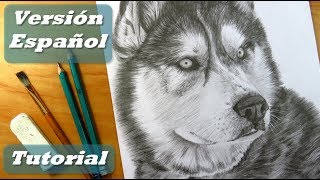 Cómo dibujar un perro  Cómo dibujar pelo de animal  Lápices de grafito [upl. by Quin]