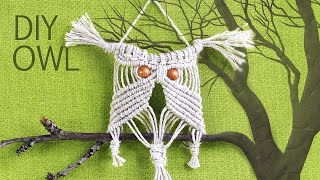 Make Easy Macrame Owl  Wall Hanger Tutorial [upl. by Maritsa]