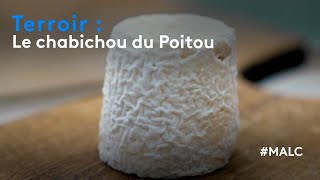 Terroir  le chabichou du Poitou [upl. by Torruella370]