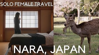 Solo travel in Japan Nara 奈良市  cherry blossoms Japanese home Nara Park sounds of Japan 日本語CC [upl. by Llerdnad]