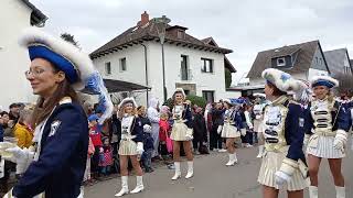 Heppenheim Fastnachtsumzug 2024 🎉 2 🥳 [upl. by Nalym846]