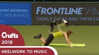 Dog gets a workout during Heelwork to Music  Crufts 2018 [upl. by Anauqes]