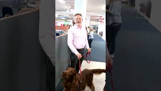 John Morans dog gives us his view on his owner being in pole position [upl. by Aisined]