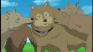 Wolfs Rain  Chezas Song [upl. by Mauchi840]