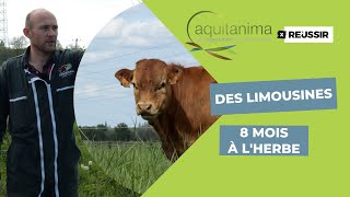 Salon de l’agriculture de Bordeaux  visite chez Guillaume Vandenberghe éleveur de limousines [upl. by Cohdwell450]