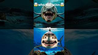 Bloop vs Megalodon vs killer whale vs Dolphin Shark Anaconda Blue whale Octopus [upl. by Fronnia]