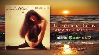 Amanda Miguel  Las Pequeñas Cosas Audio Oficial [upl. by Orban42]