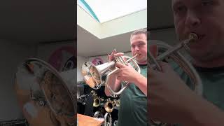 FOR SALE Willson Switzerland Bb Flugelhorn [upl. by Ahsiner344]