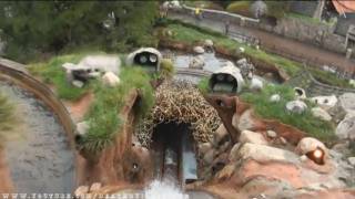 Splash Mountain Nightvision Onride Complete HD Experience Disneyland California [upl. by Filberte]